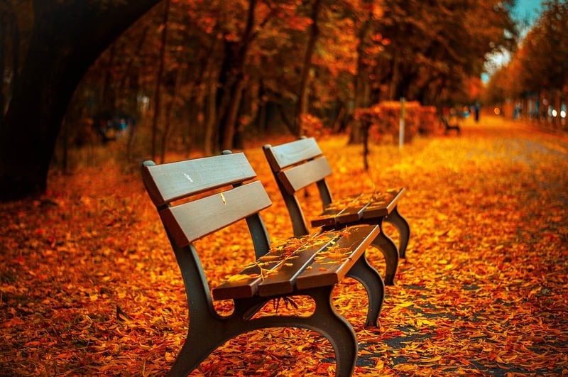 City Park Bench